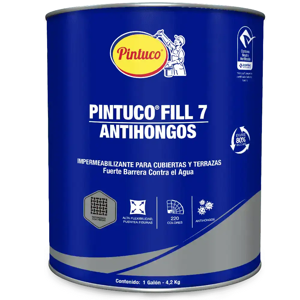 Pintuco Fill Hongos Gris